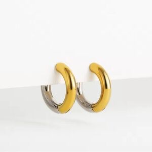 Gold and Silver Hoop Earrings